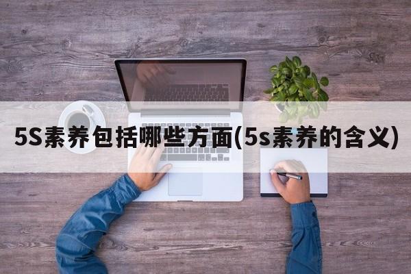 5S素养包括哪些方面(5s素养的含义)