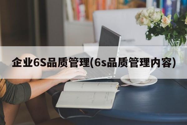 企业6S品质管理(6s品质管理内容)